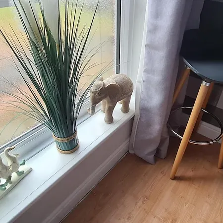 4-5 Bedroom 2 Bath Mobility Accessible Guisborough